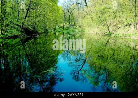 Blauer Wassersee im Quellpark, am Ufer von Bäumen und reflektiert im ruhigen Wasser, blaugrüner Filter Stockfoto