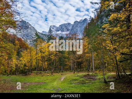 Ruhigen herbst Alpen Berg Blick auf den Wald. In der Nähe von gosauseen oder Vorderer Gosausee, Oberösterreich. Dachstein Gipfel und Gletscher. Stockfoto