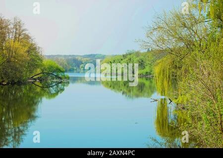 Glatte Flussoberfläche, am Ufer von Bäumen mit hellgrünen Blättern, der Himmel ohne Wolken Frühling Stockfoto