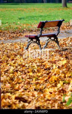 Bank im Park im Herbst mit vielen umgestürzten Blättern auf dem Boden Stockfoto