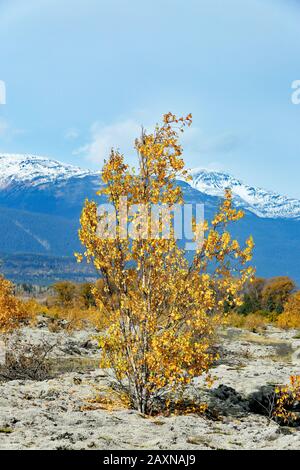 Der Nisga'a Memorial Lava Bed Provincial Park ist ein Provinzpark im Nass River Tal im Nordwesten von British Columbia, Kanada, etwa 80 km Stockfoto