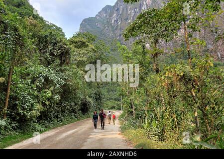 Straße und Fußweg im Urubamba-Tal mit tropischer Vegetation und nebulösem Holz in der Nähe von Aguas Calientes, Machu Picchu Pueblo, Anden-Hochland, Peru Stockfoto