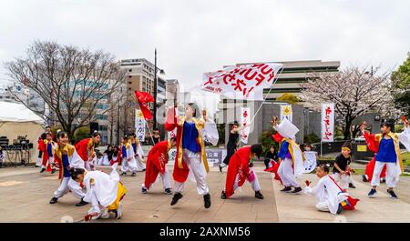 Yosakoi-Tänzer, kleine Kinder, Tanz mit Naruko, Klapper, draußen auf dem Kyusyu Gassai Festival, Kumamoto. Männer winken Banner im Hintergrund. Stockfoto