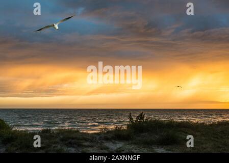 Sonnenuntergang im Ijsselmeer bei Schuilenburg, Niederlande Stockfoto