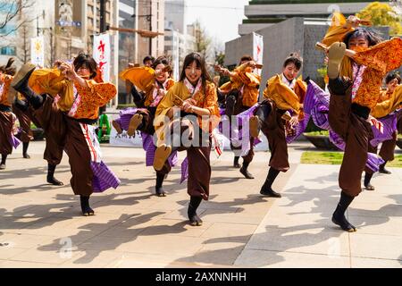 Japanische Yosakoi-Tanzgruppe, die auf dem öffentlichen Platz auf dem Kyusyu Gassai Festival in Kumamoto im Freien tanzt. Tänzerinnen, die Naruko, Klipper, zauern. Tagsüber. Stockfoto