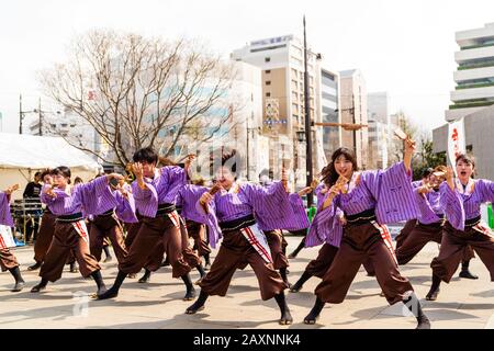 Japanische Yosakoi-Tanzgruppe, die auf dem öffentlichen Platz auf dem Kyusyu Gassai Festival in Kumamoto im Freien tanzt. Tänzerinnen, die Naruko, Klipper, zauern. Tagsüber. Stockfoto