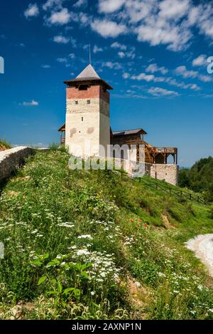 Cetatea Malaiesti, restaurierte Burg auf einem Hügel über dem Dorf Malaiesti, Vorberge des Retezat-Gebirges in den Südkarpaten, Siebenbürgen, Rumänien Stockfoto