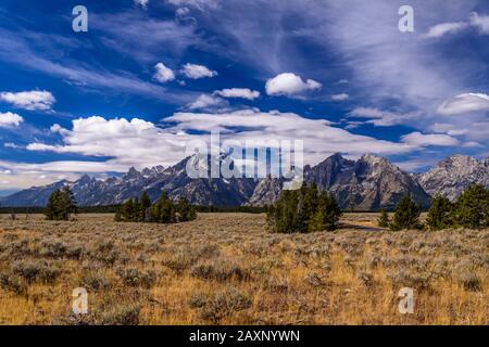 USA, Wyoming, Grand Teton Nationalpark, Moose, Teton Range, Blick auf die Wahlbeteiligung Der Schlaglöcher Stockfoto