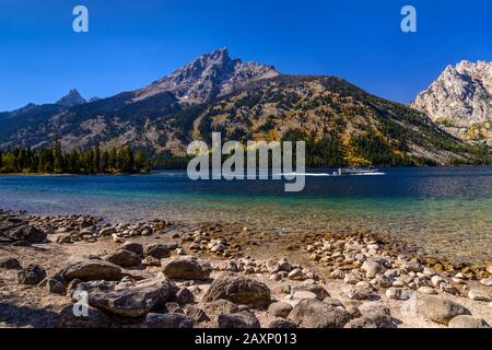 USA, Wyoming, Grand Teton Nationalpark, Moose, Jenny Lake vor Grand Teton Stockfoto