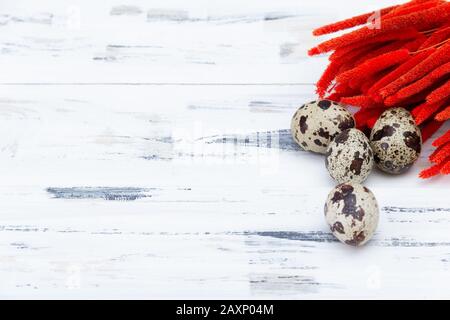 Wachteleier mit rot getrockneten Blumen auf weißem Grund. Osterkonzept. Freier Speicherplatz. Stockfoto