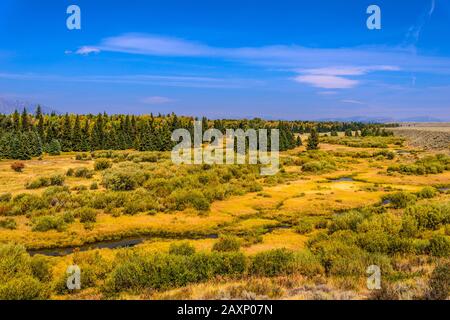 Die USA, Wyoming, Grand Teton Nationalpark, Moose, Snake River Valley, Blick auf die Blacktail Teiche Stockfoto