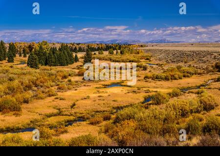 Die USA, Wyoming, Grand Teton Nationalpark, Moose, Snake River Valley, Blick auf die Blacktail Teiche Stockfoto