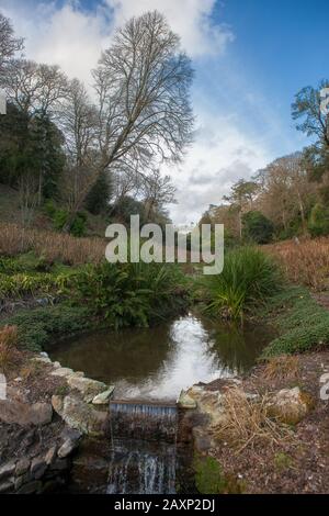 Hydrangea Valley, Trebah Gardens, Cornwall Stockfoto