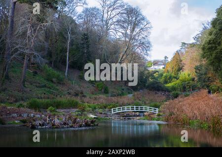 Mallard Pond und Hydrangea Valley, Trebah Gardens, Cornwall, England, Großbritannien, im Winter Stockfoto