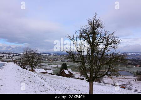 Winter im Züricher Land Stockfoto