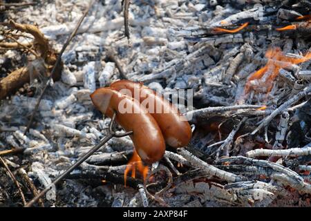 Würstchen über einem Feuer backen. Zubereitung einer Mahlzeit im Freien. Stockfoto