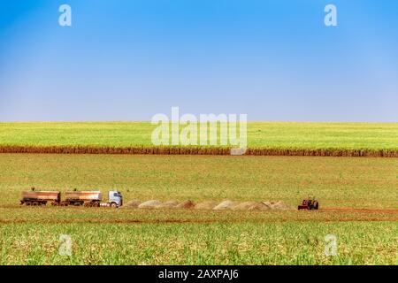 Zuckerrohrplantage auf brasiliens Land Stockfoto