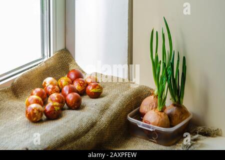 Hühnereier mit altmodischer natürlicher Methode von Zwiebelschalen gefärbt. Braune Eier mit verschiedenen natürlichen Mustern liegen auf einer Burlap neben gespreiztem Grün Stockfoto