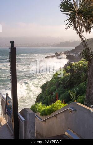 Winterküstenmorgen. La Jolla, CA, USA. Blick von oben auf die La Jolla Cove. Stockfoto