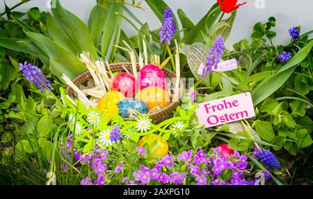 Buntes Osternest im Blumenbeet, frohe Ostern Stockfoto