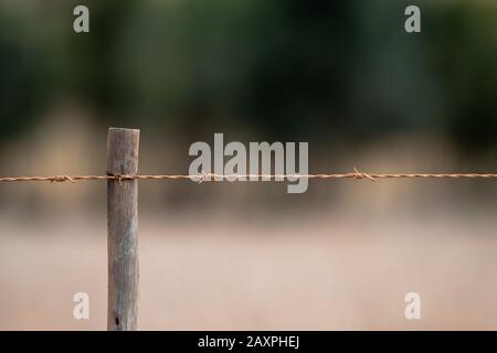 Stacheldrahtzaun Stockfoto