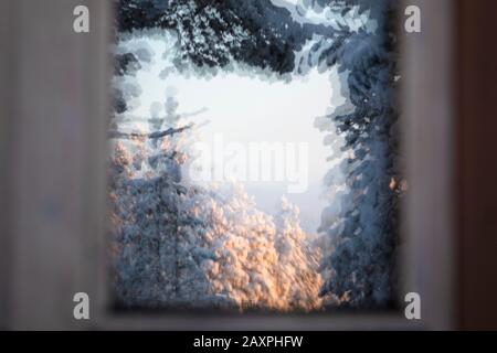 Finnland, Lappland, Kittilanz, Spiegelung des Waldes im Fenster Stockfoto