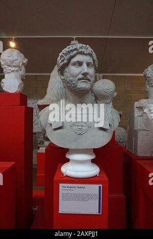 Besetzung einer Büste des römischen Kaiser Hadrian im Museum of Classical Archaeology, Cambridge Stockfoto