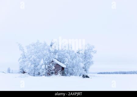 Finnland, Lappland, Winter, Haus, Seeufer, schneit ein Stockfoto