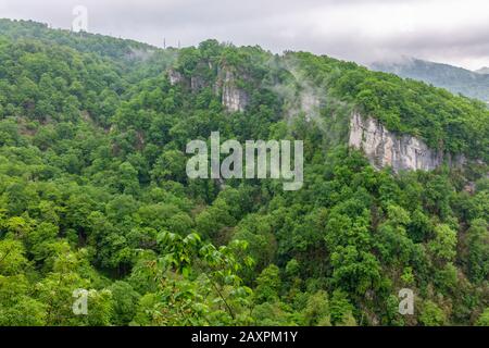 Nebel im dichten grünen Wald auf den felsigen Klippen. Tops von hohen grünen Bäume mit dichten Nebel. Laubwald im Nebel. Stromleitungen in die Berge. Stockfoto