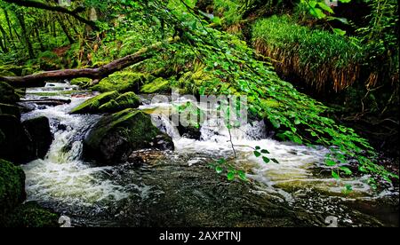 Die Golitha Falls in der Nähe von Bodmin Moor in Cornwall sind eine Reihe spektakulärer Wasserfälle und Wasserfälle entlang eines Abschnitts des Flusses Fowey Stockfoto