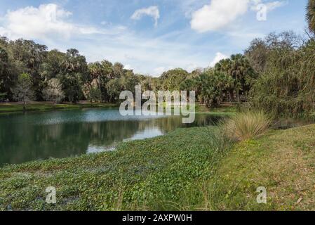 Gemini Springs Park, DeBary Florida USA Stockfoto