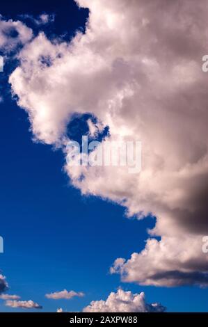 Cumulus Wolken am Sommertag in blauem Himmel mit menschlichem Gesicht Stockfoto