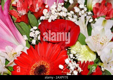 Blumenstrauß aus roten, rosafarbenen und weißen Blumen Stockfoto