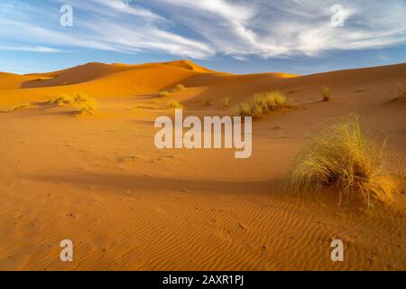 Sanddünen in der Wüste Sahara, Marokko Stockfoto