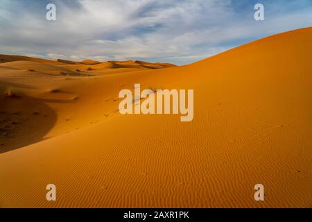 Sanddünen in der Wüste Sahara, Marokko Stockfoto