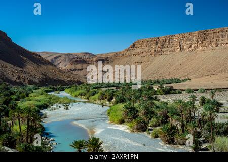 Oase wie die Gegend am Fluss mit Palmen in Ziz Gorges, Marokko Stockfoto
