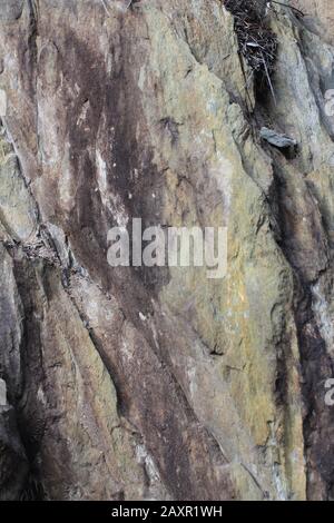 Slate Stone 2015-05-21 01: Jasper, Alberta, Kanada. Ein trockener Natursteinhintergrund. Naturen bauen eine starke tragende façade Stockfoto