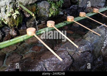 Wassergefüllte Becken, Chozubachi genannt, werden von Anbetern zum Waschen benutzt, bevor sie in den Hauptschinusschrein oder in den Shaden gelangen. Kyoto, Japan Stockfoto