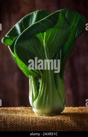 Chinesische Bok Choy Kohlkohl. Stockfoto