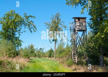 Deutschland, Baden-Württemberg, Tübingen-Bebenhausen, Sternwarte auf einer Lichtung im Naturpark Schönbuch, einem Naherholungsgebiet der Region Stuttgart. Stockfoto