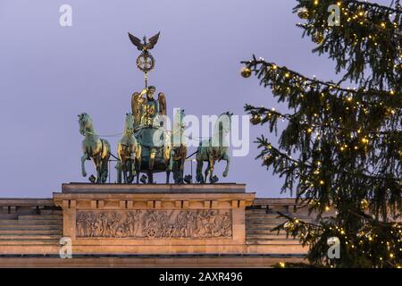 Berlin, festlicher Weihnachtsbaum vor dem Brandenburger Tor, Quadriga Stockfoto