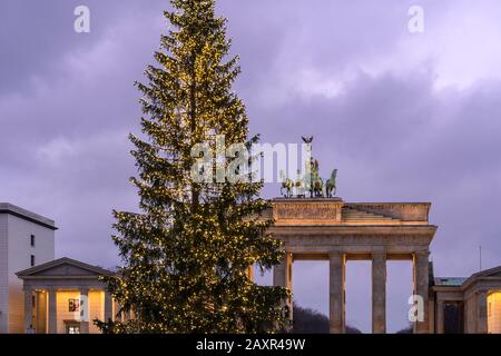 Berlin, festlicher Weihnachtsbaum vor dem Brandenburger Tor Stockfoto