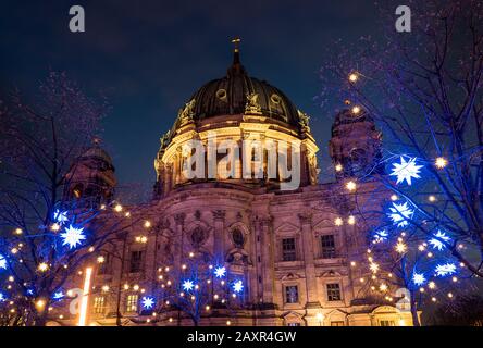 Berlin, Berliner Dom, Spreeufer, Promenade, Poinsetttias Stockfoto