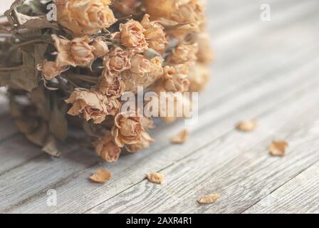 Getrocknete Rosen auf Holztisch, nostalgisches Stillleben in weichen Beigetönen Stockfoto