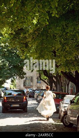 Straße, Bride, Automobile, Altstadt, Belgrad, Serbien Stockfoto