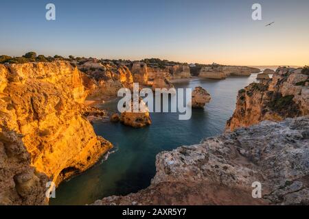 Felsküste bei Praia da Marinha bei Sonnenaufgang, Lagoa, Algarve, Bezirk Faro, Portugal Stockfoto