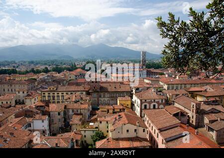 Ein schöner Blick auf die toskanische Architektur vom Gipfel des Torre delle Ore, dem höchsten Turm in Lucca, Italien. Stockfoto