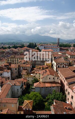 Ein schöner Blick auf die toskanische Architektur vom Gipfel des Torre delle Ore, dem höchsten Turm in Lucca, Italien. Stockfoto