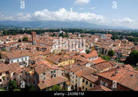 Ein schöner Blick auf die toskanische Architektur vom Gipfel des Torre delle Ore, dem höchsten Turm in Lucca, Italien. Stockfoto