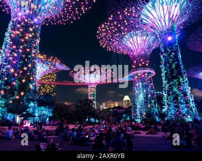 Garden Rhapsody, Light and Sound Show, Gardens by the Bay, Singapur Stockfoto